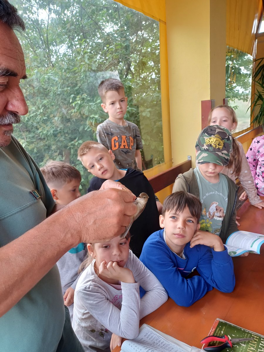 madárgyűrűzés túra