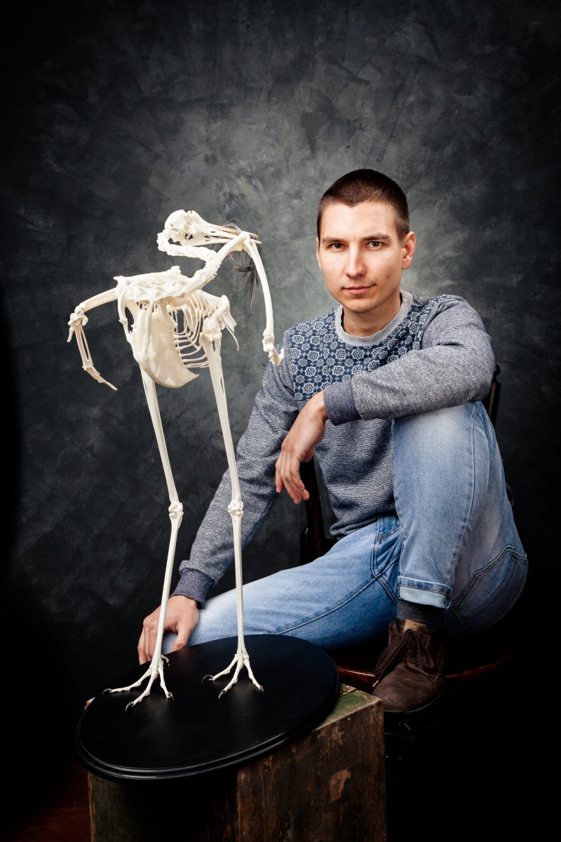 Albert Krisztián