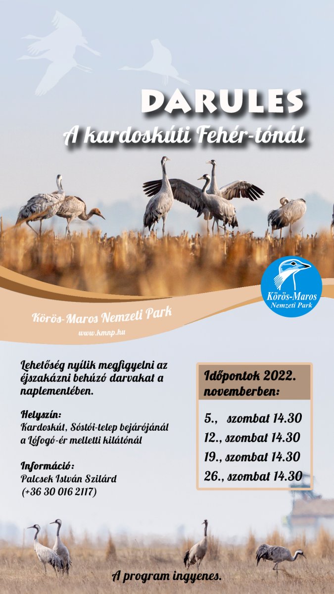 darulesek