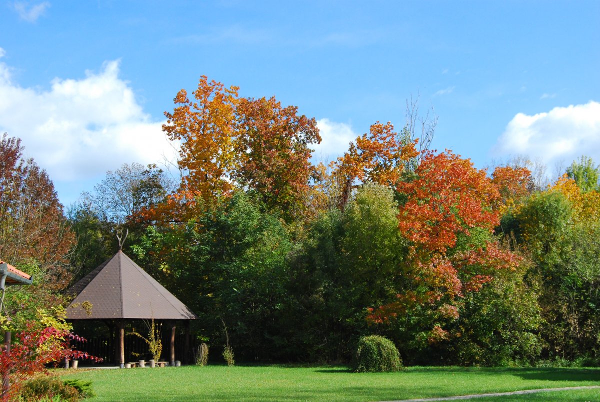 állatpark