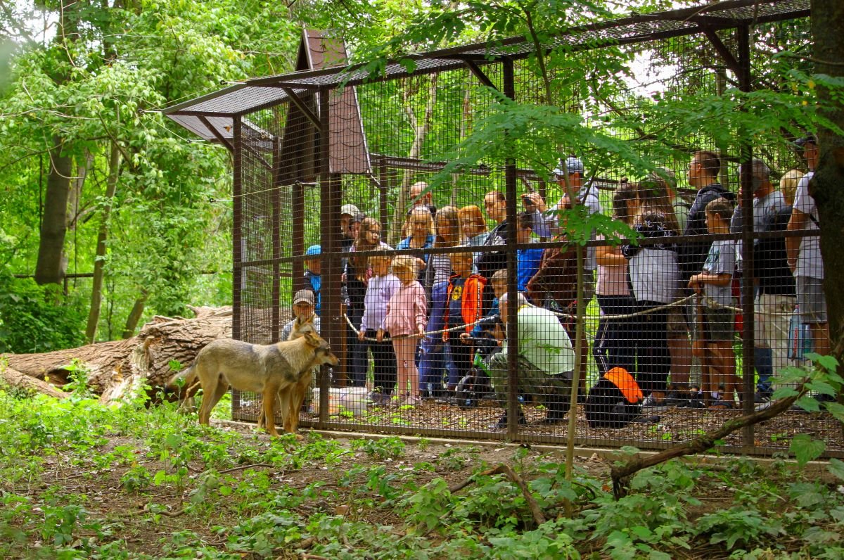 Körösvölgyi Állatpark