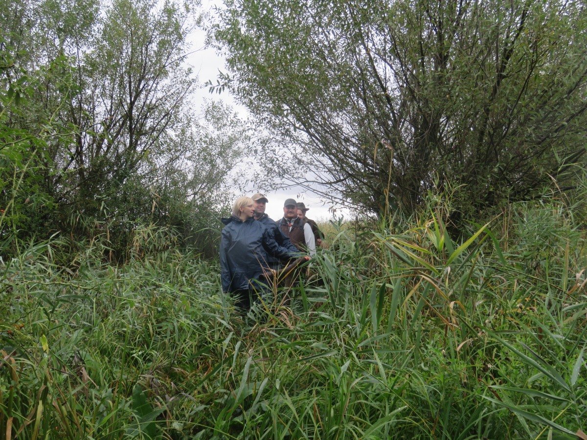 szarvasbőgés beharangozó