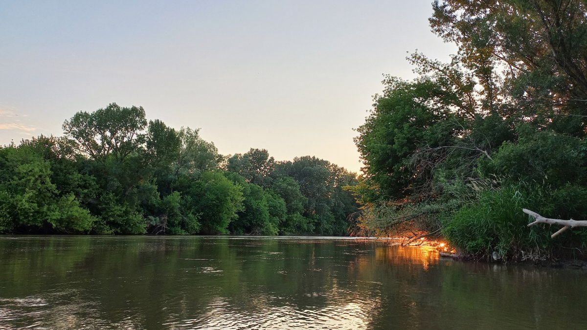 Kárpáti fajok vándorútja, a Maros