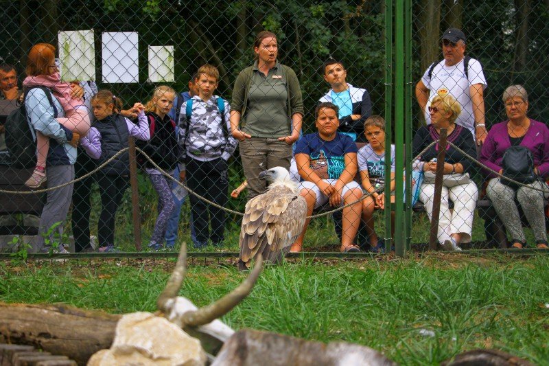 Állatkertek éjszakája