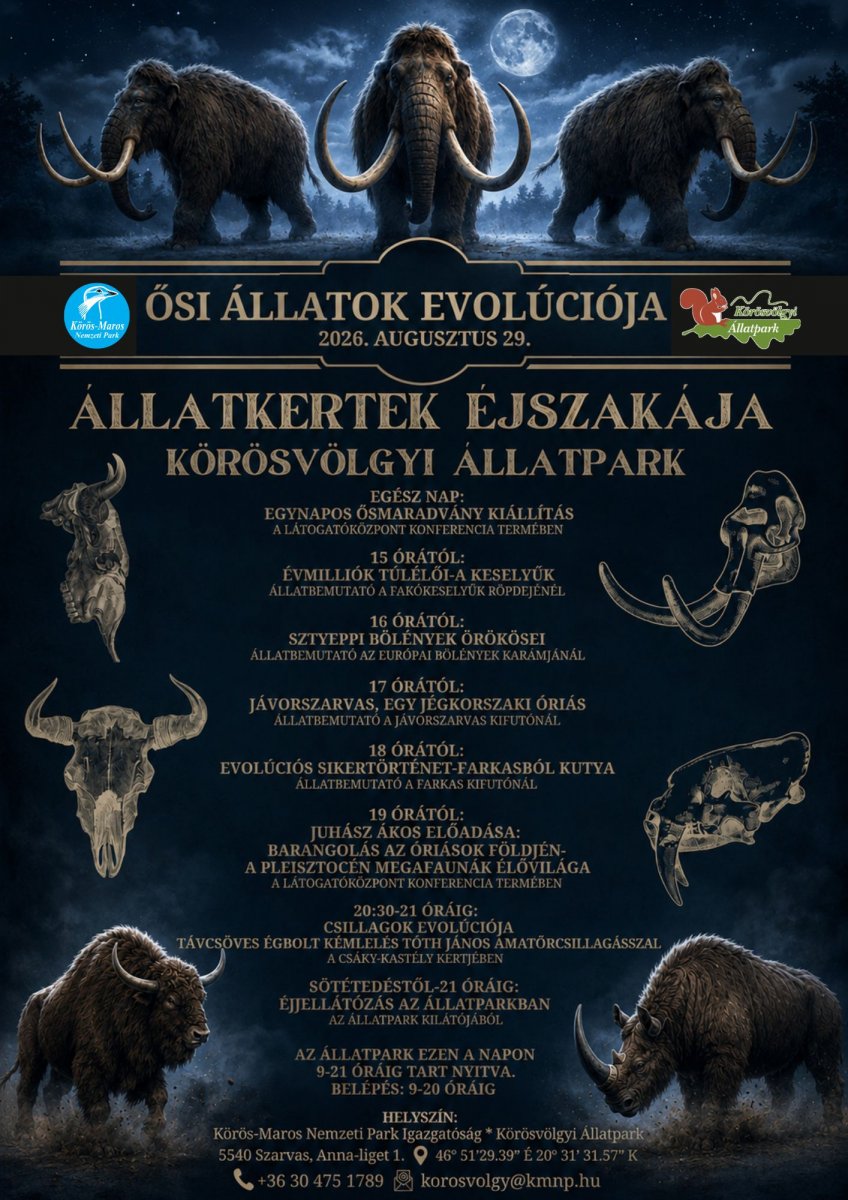 plakát