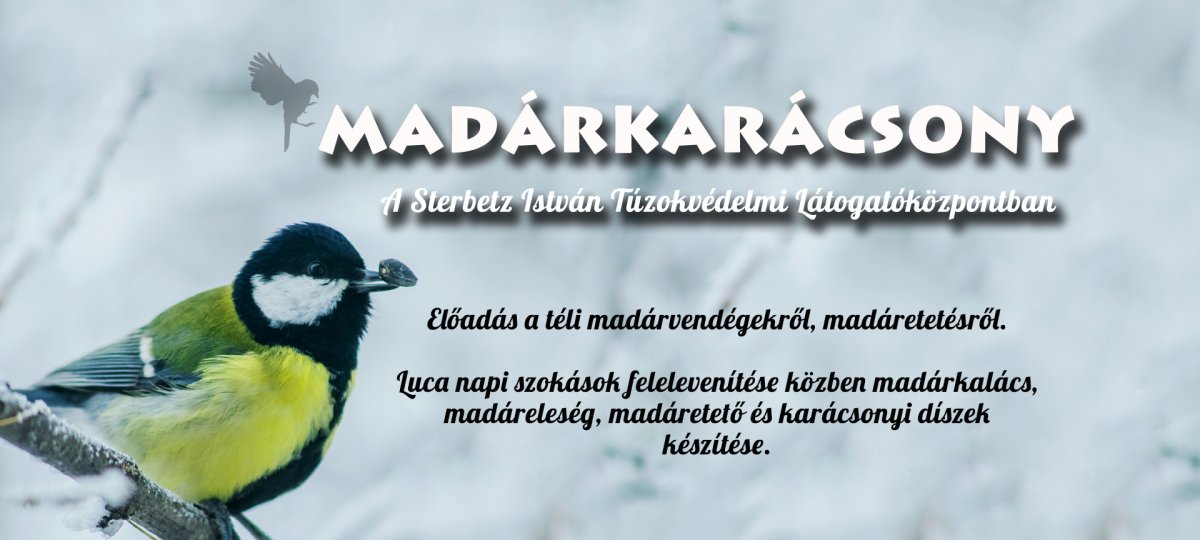 madárkarácsony