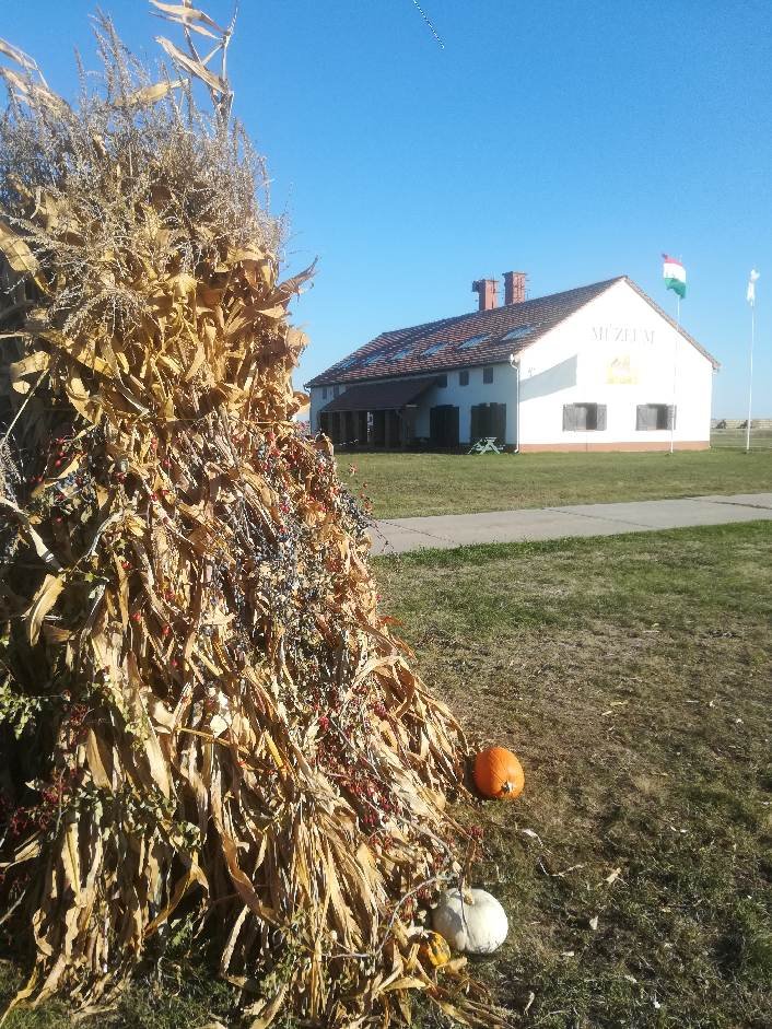 ősz a Réhelyben