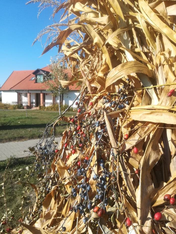 ősz a Réhelyben