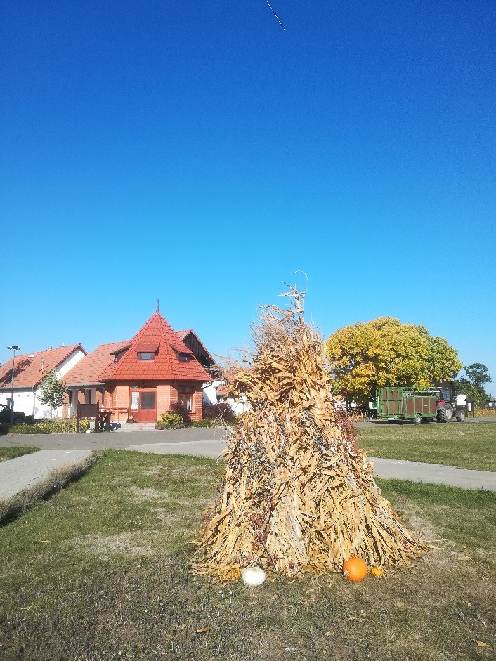 ősz a Réhelyben