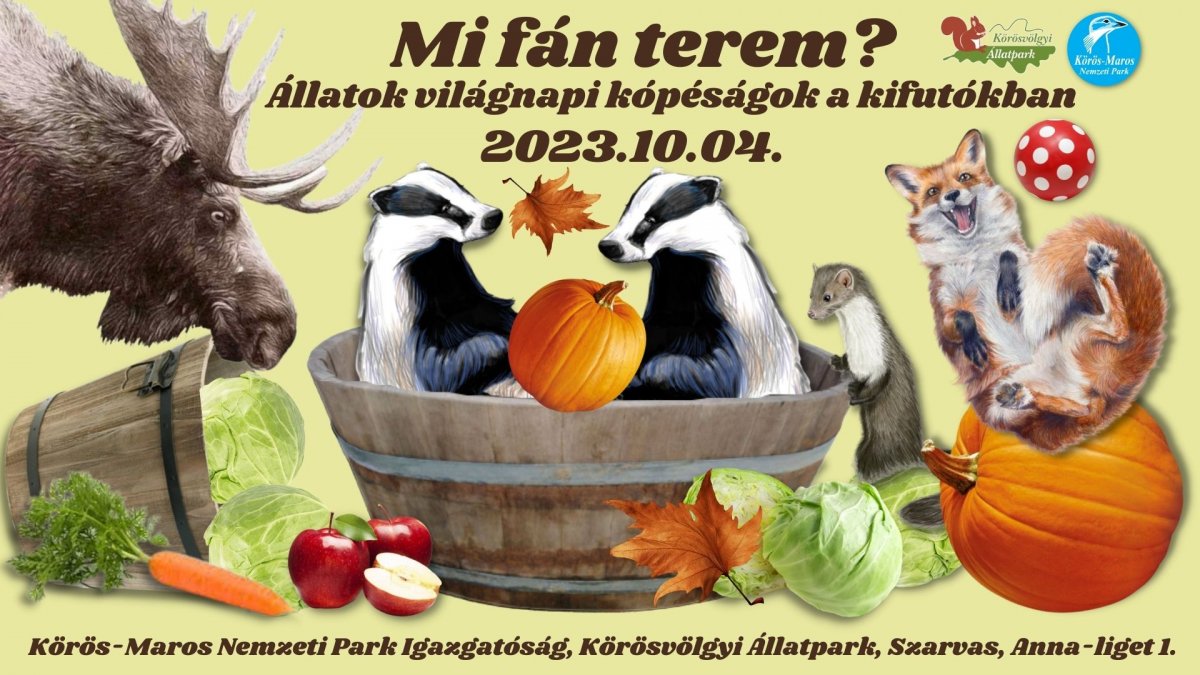 mi fán terem?