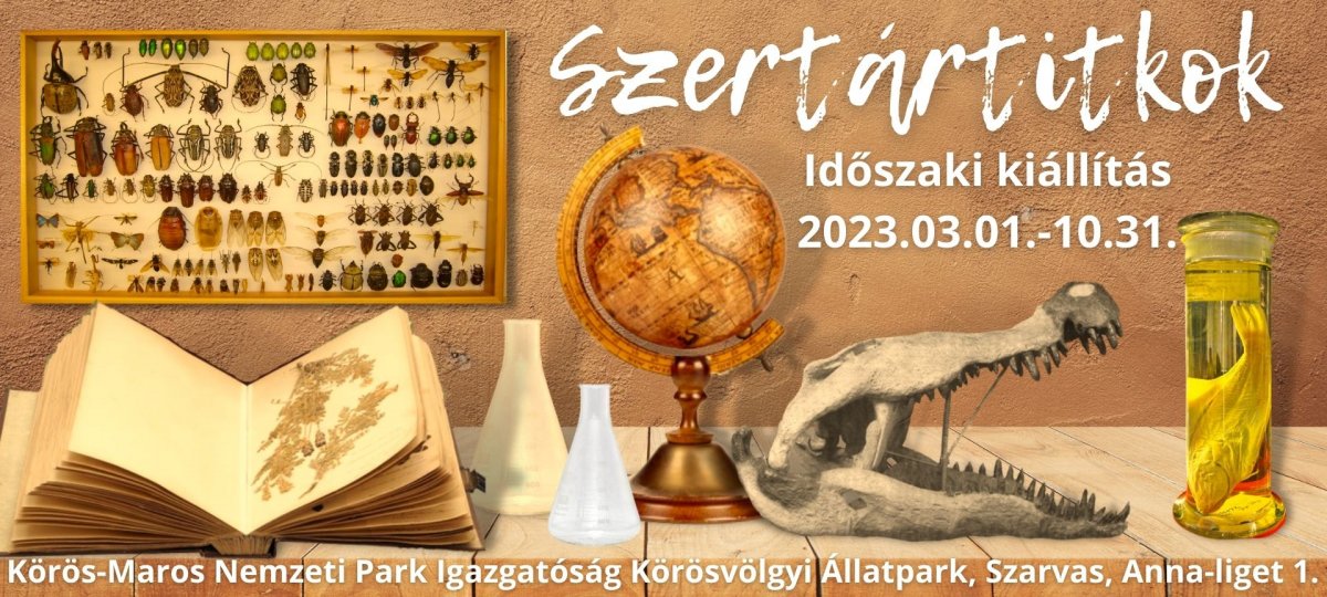 plakát