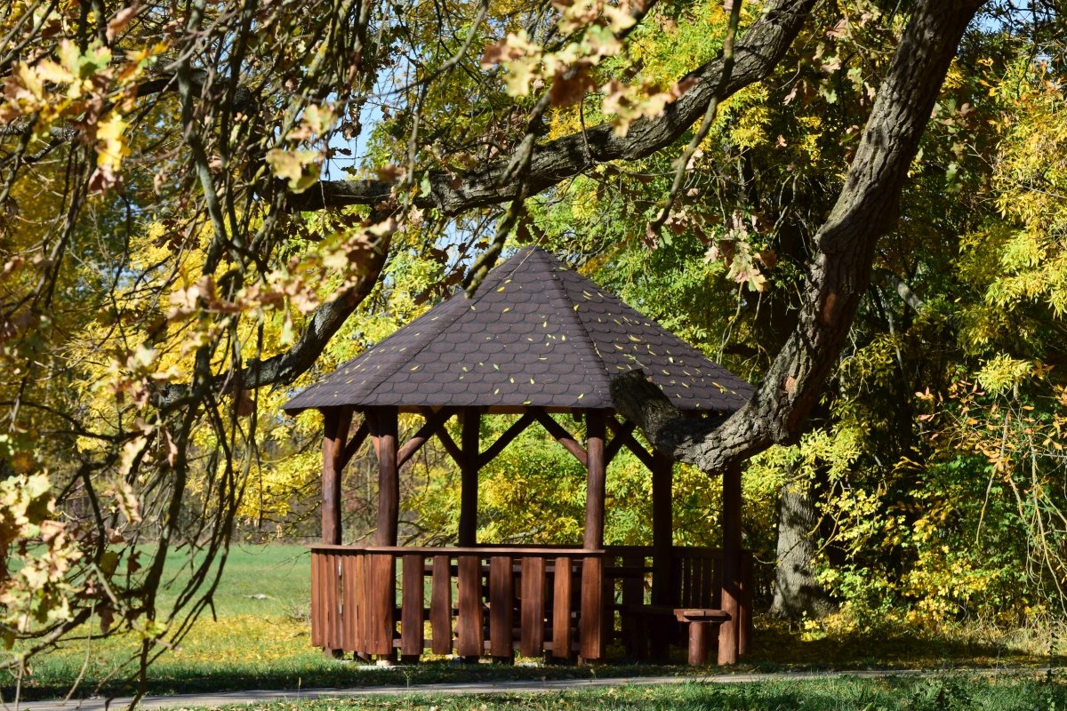 állatpark
